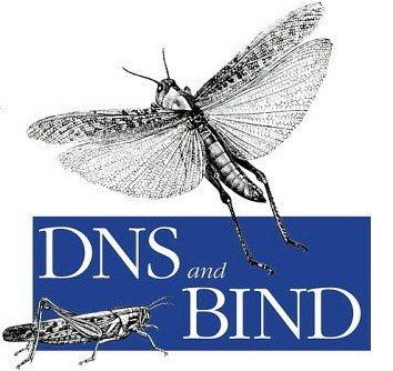 bind9