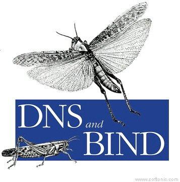 bind9